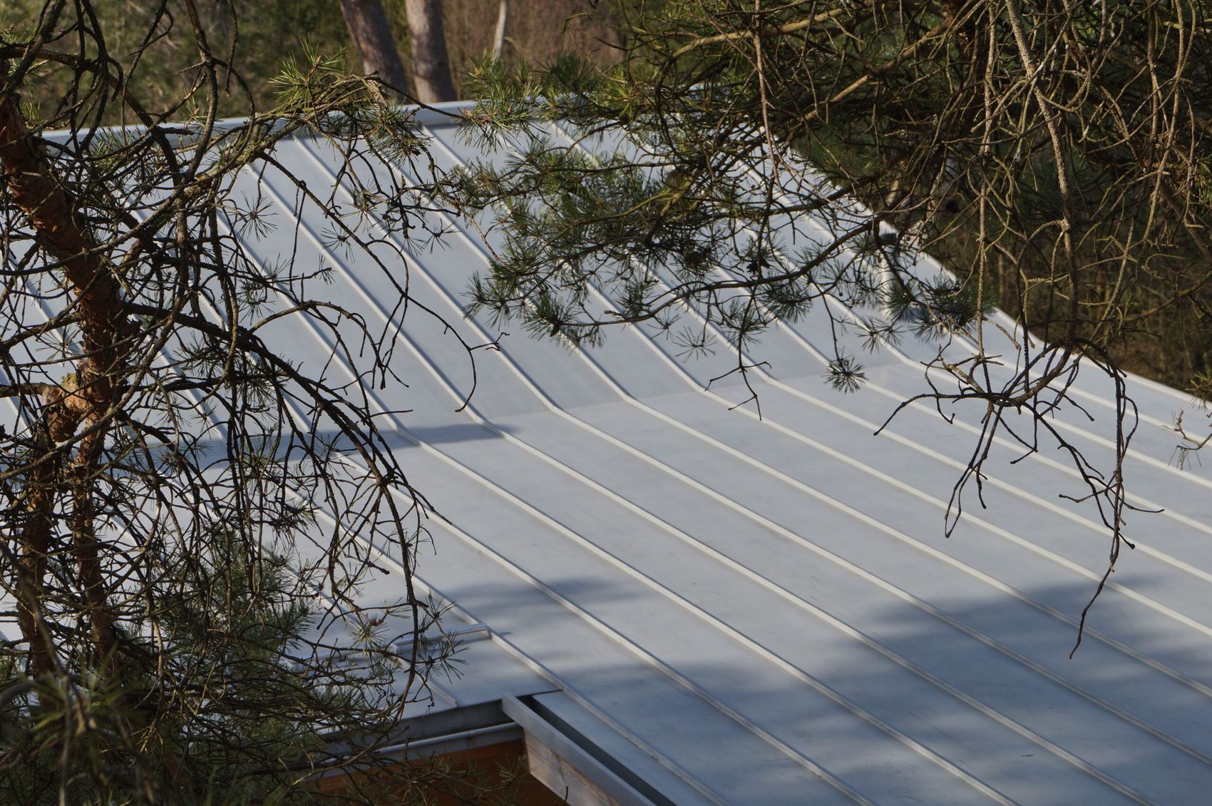 EFH Seleger Moor, Projekt der Concenti GmbH