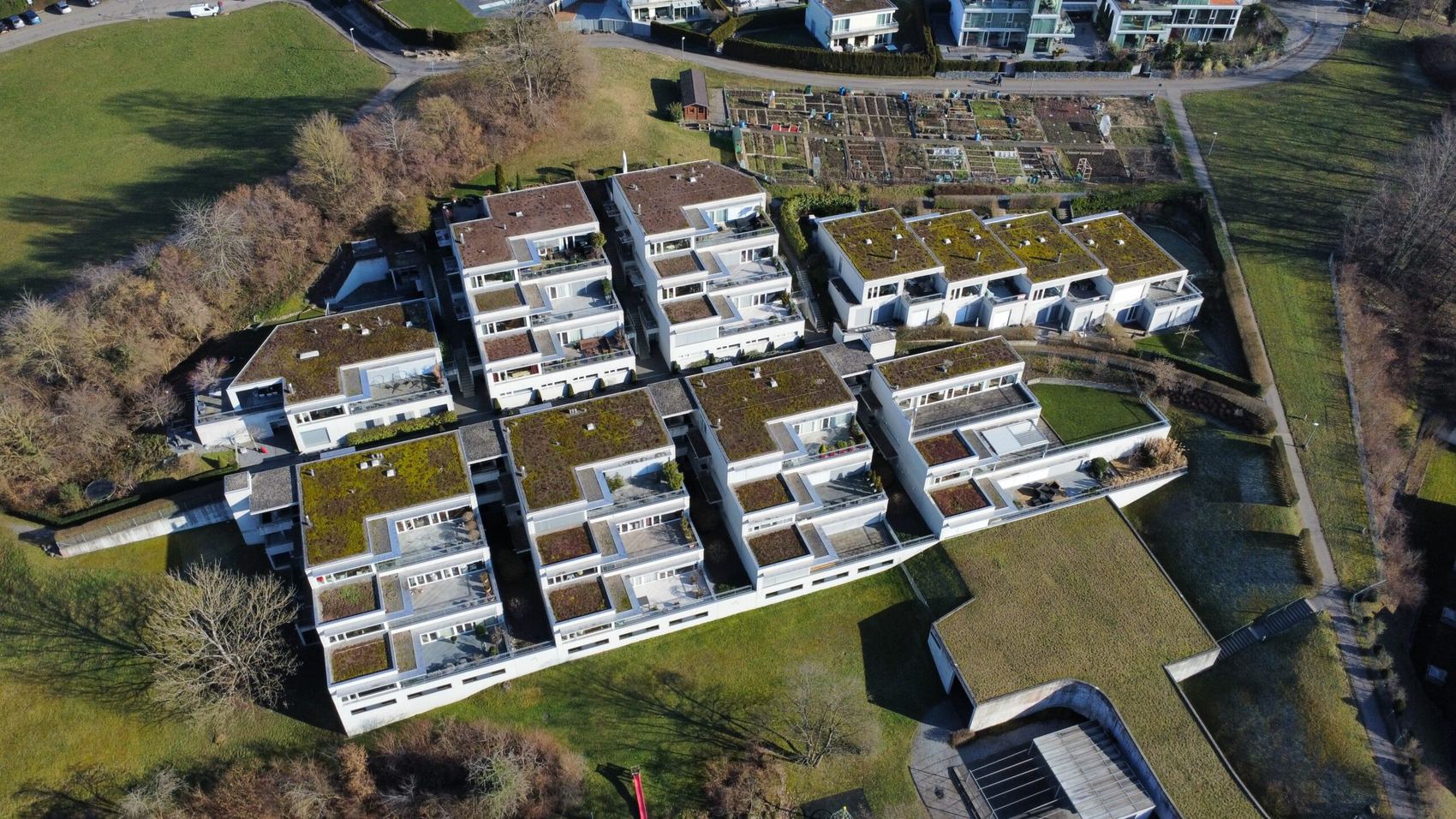 Siedlung mit begrünten Flachdächern von oben
