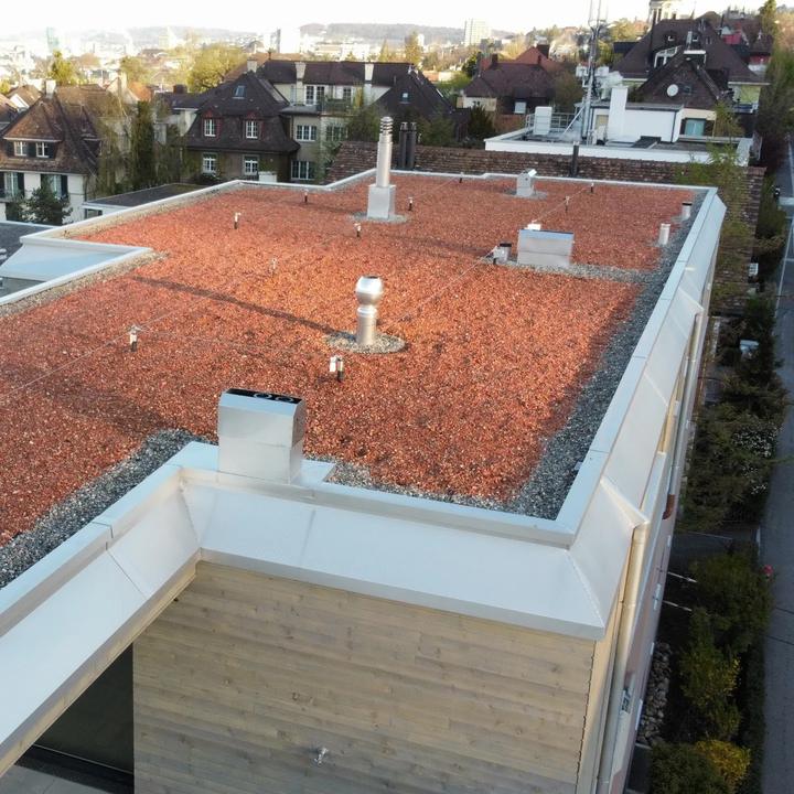 Kiesdächer / Extensivbegrünung, Arbeit der Concenti GmbH